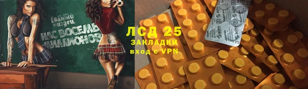 стаф Аркадак