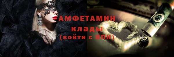стаф Аркадак