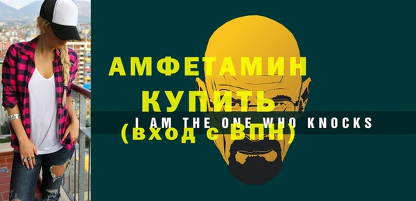 стаф Аркадак
