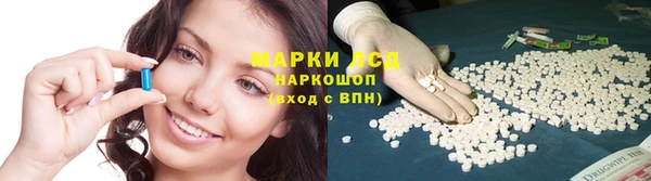 стаф Аркадак