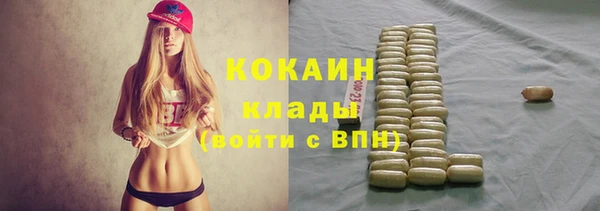 стаф Аркадак