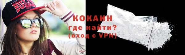 стаф Аркадак