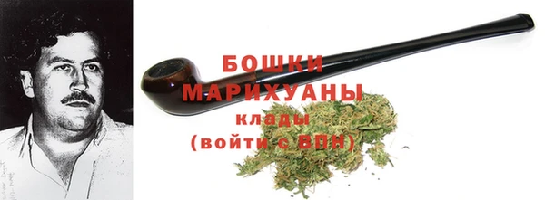 стаф Аркадак