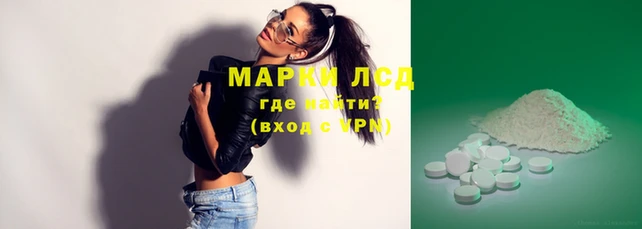 стаф Аркадак