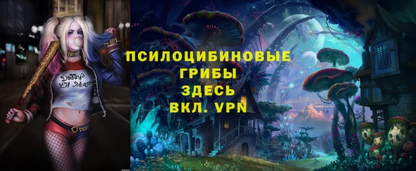 бошки Арсеньев