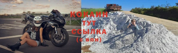 стаф Аркадак