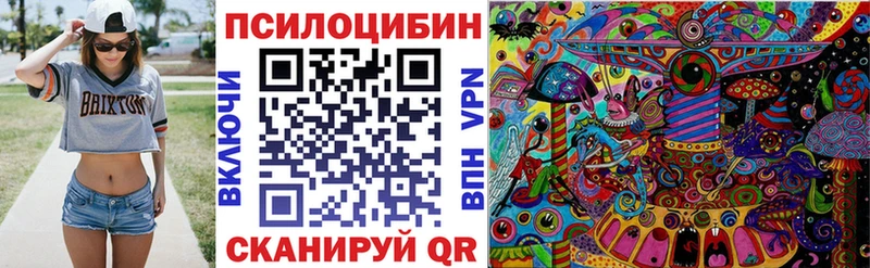 Галлюциногенные грибы GOLDEN TEACHER  Купить где  Алейск 